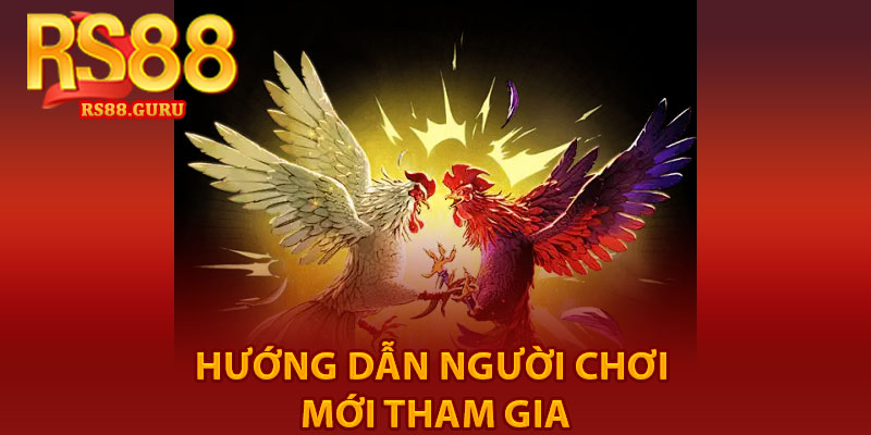 Đá Gà RS88 – Trải Nghiệm Gà Đá Siêu Thú Vị 3 Hướng dẫn người chơi mới tham gia