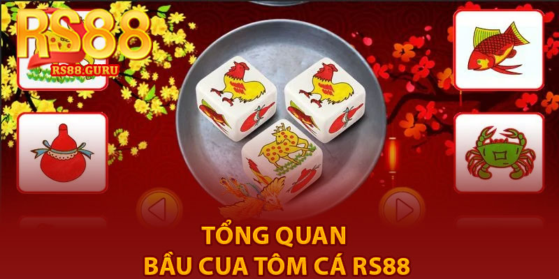 Bầu Cua Tôm Cá RS88 – Game Dân Gian Hấp Dẫn 2026 2 Tổng Quan bầu cua tôm cá RS88