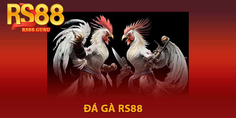 Đá Gà RS88 – Trải Nghiệm Gà Đá Siêu Thú Vị 1 đá gà RS88